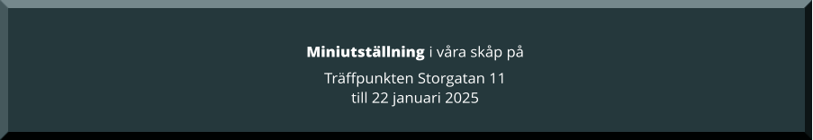 Miniutställning i våra skåp på  Träffpunkten Storgatan 11 till 22 januari 2025