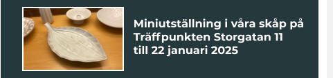 Miniutställning i våra skåp på Träffpunkten Storgatan 11till 22 januari 2025